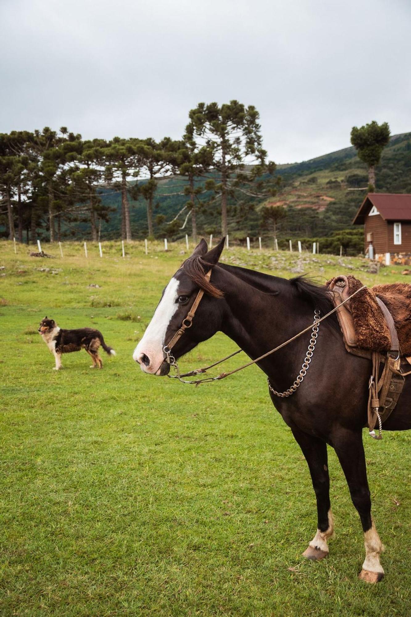 Recanto Das Águas Urubici Exterior foto